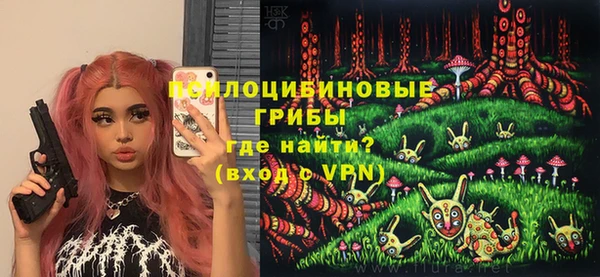 соль ск Богданович