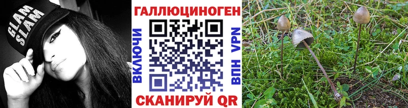 как найти наркотики  Губкинский  Псилоцибиновые грибы MAGIC MUSHROOMS 